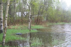 flood2011pic