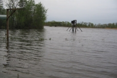 flood2011pic5