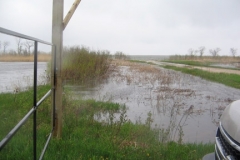 flood2011pic7
