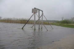 flood2011pic8